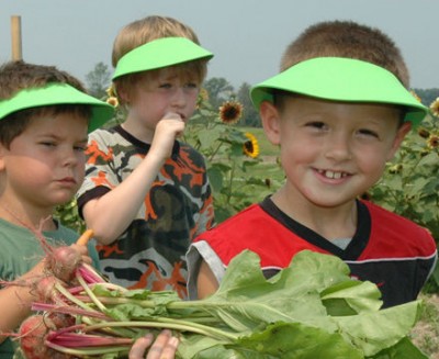 Rural Intelligence Food