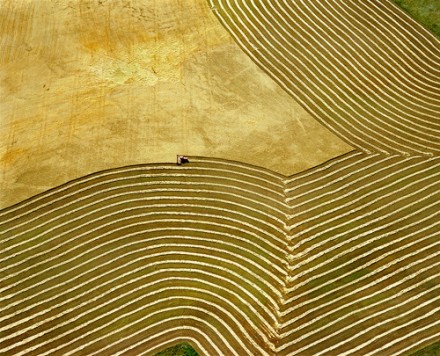 Rural Intelligence Arts