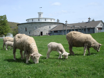 Rural Intelligence Road Trips