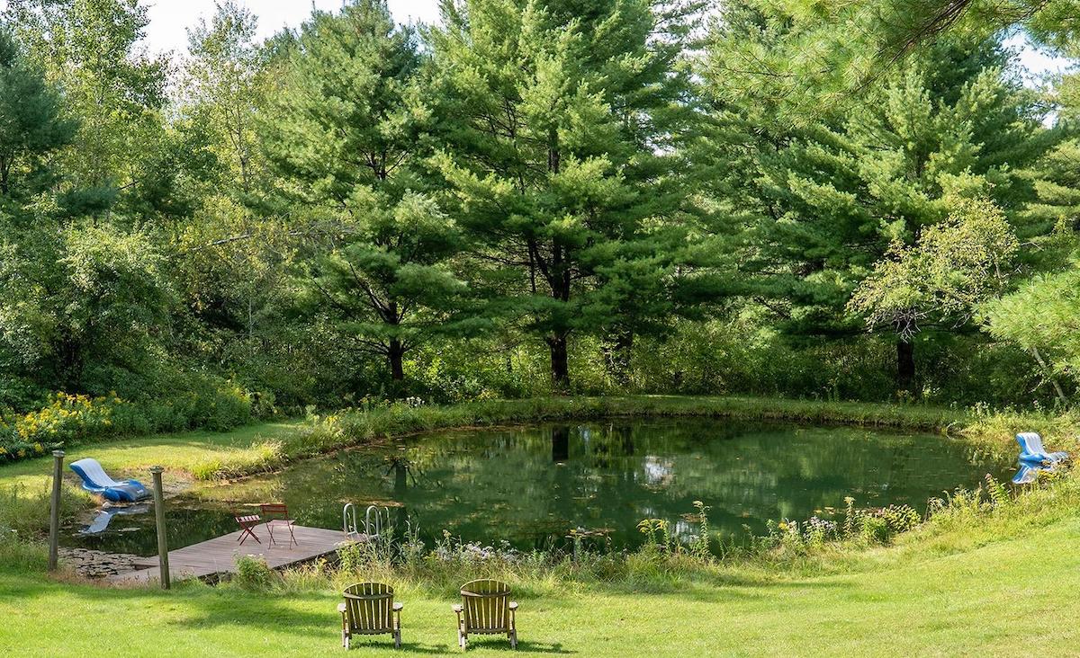 Back yard