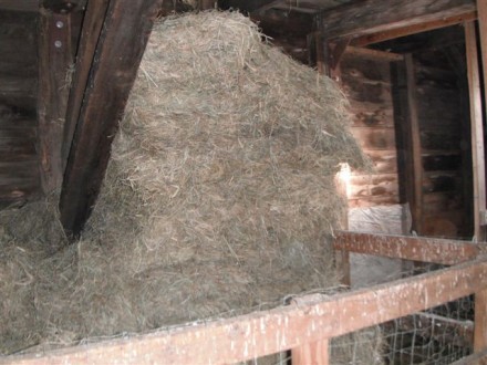 Rural Intelligence Food