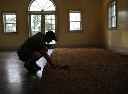 Rural Intelligence Food