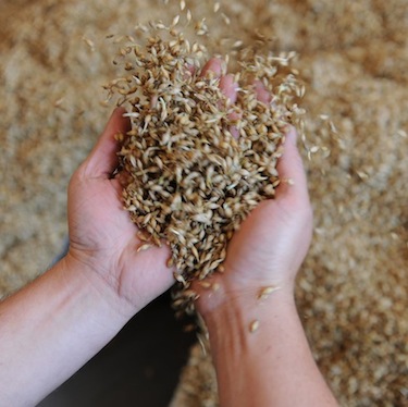 Rural Intelligence Food