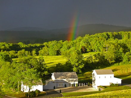 Rural Intelligence Food