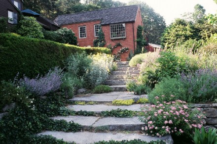 Rural Intelligence Style