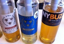 Rural Intelligence Style