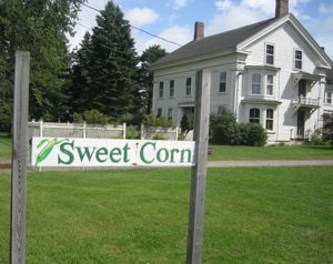 Rural Intelligence Food