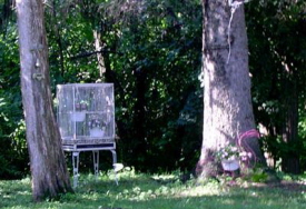 Rural Intelligence Home and Garden