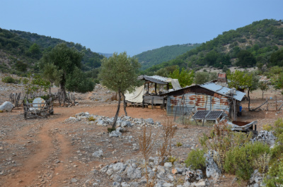 Rural Intelligence Food