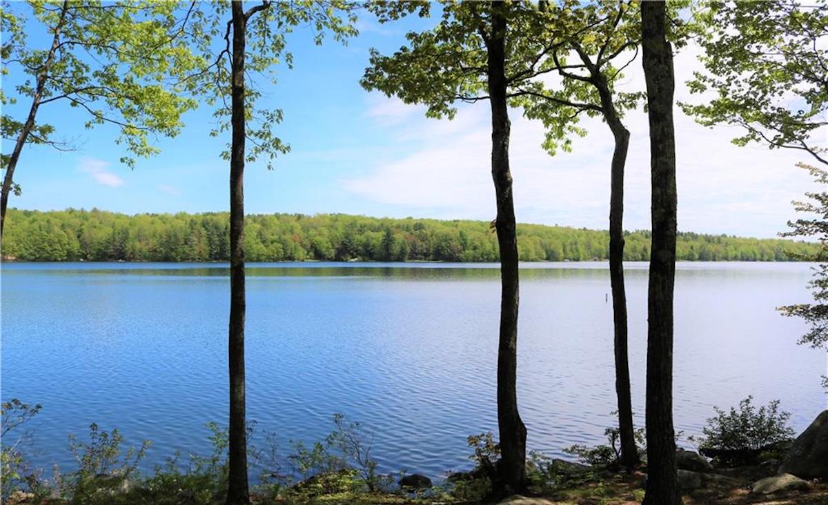 Woodbridge Lake Woodbridge Lake