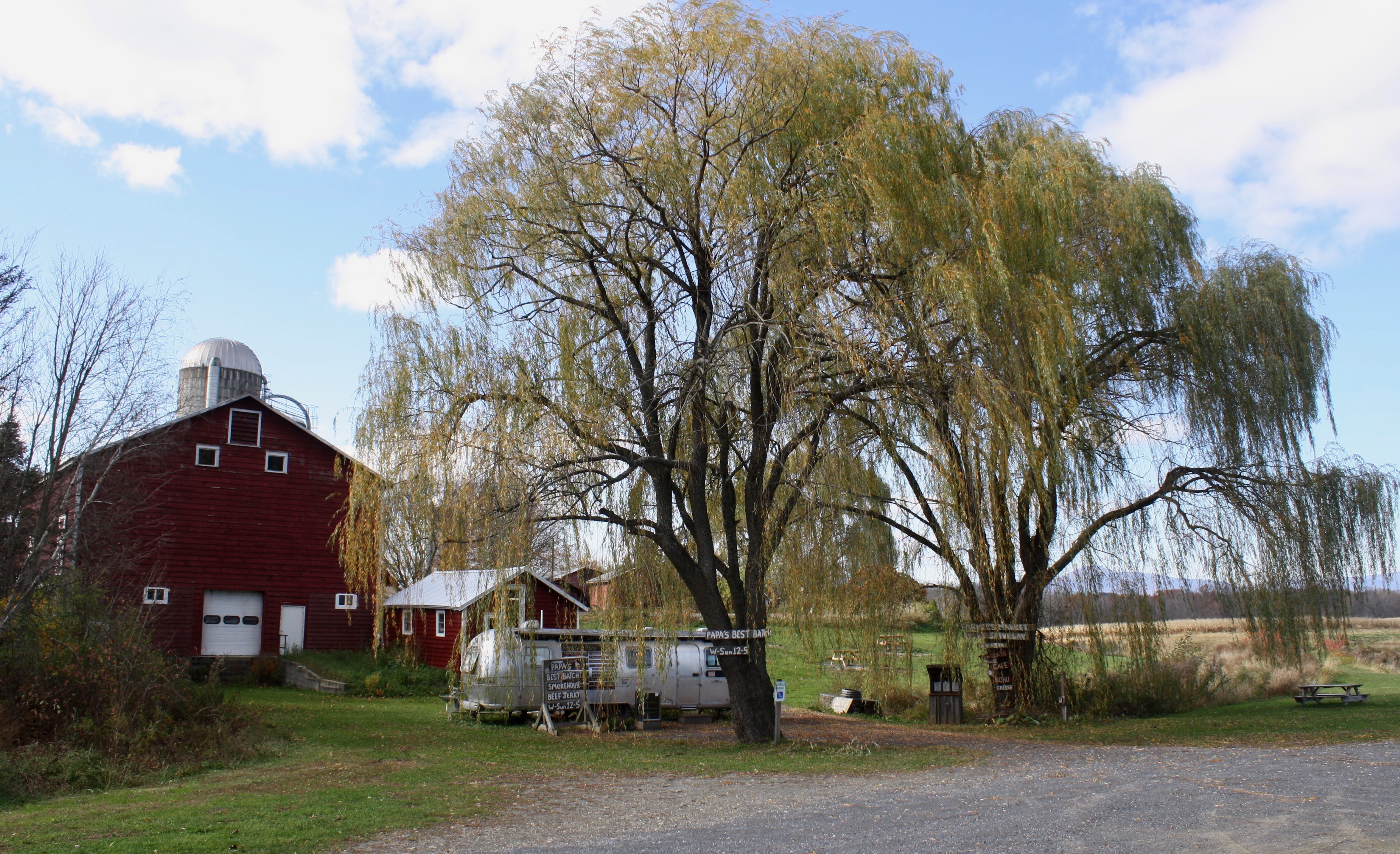 Papa's Best Batch under the weeping willows