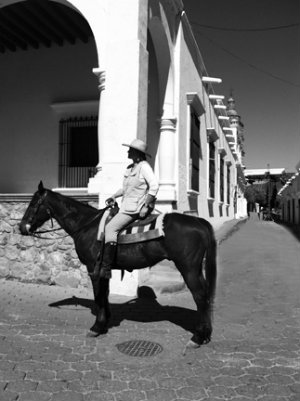 laura chester alamos