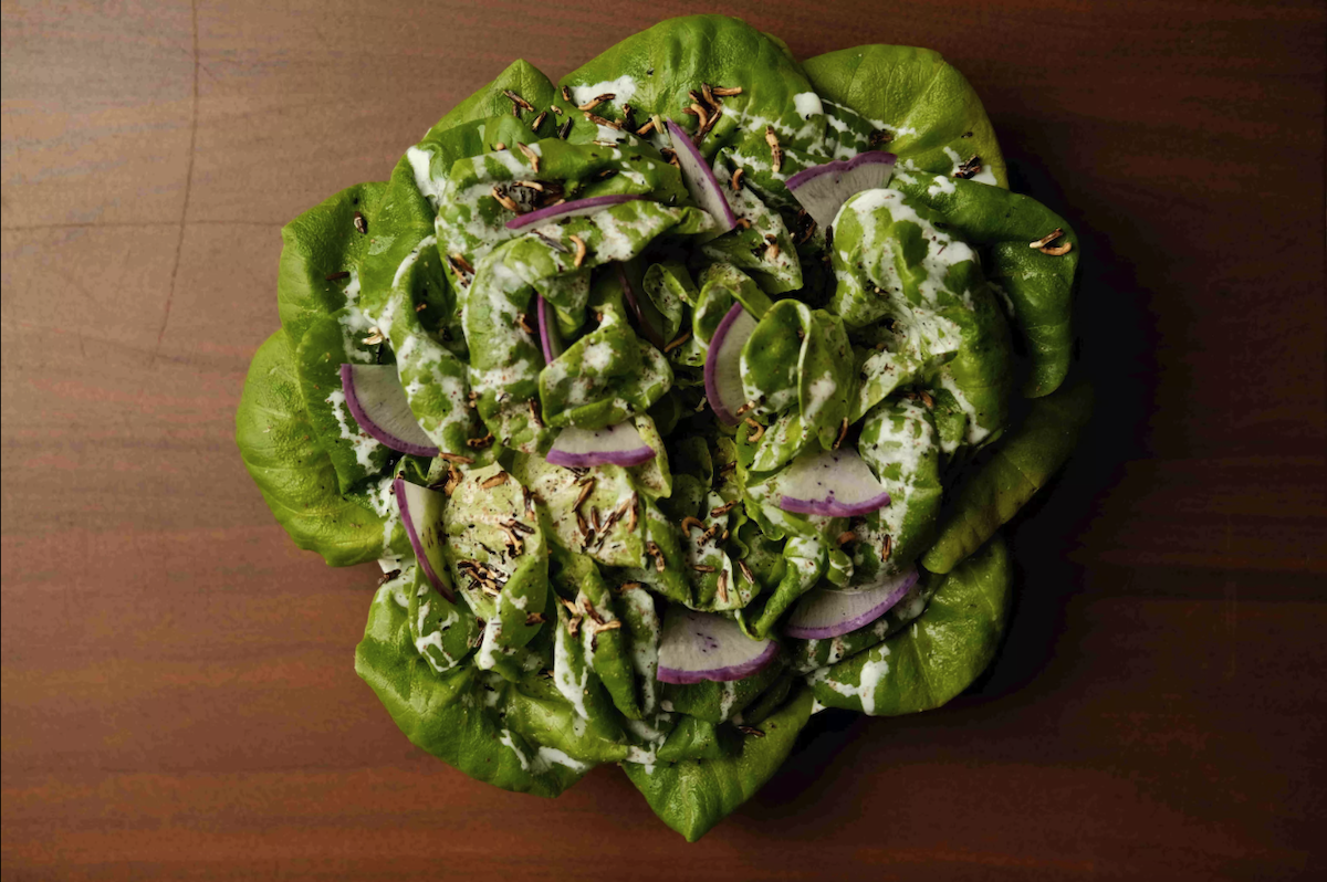 Butterhead lettuce is dressed with spruce vinaigrette and served with radishes, shallots, and fresh cheese. - Isabela
