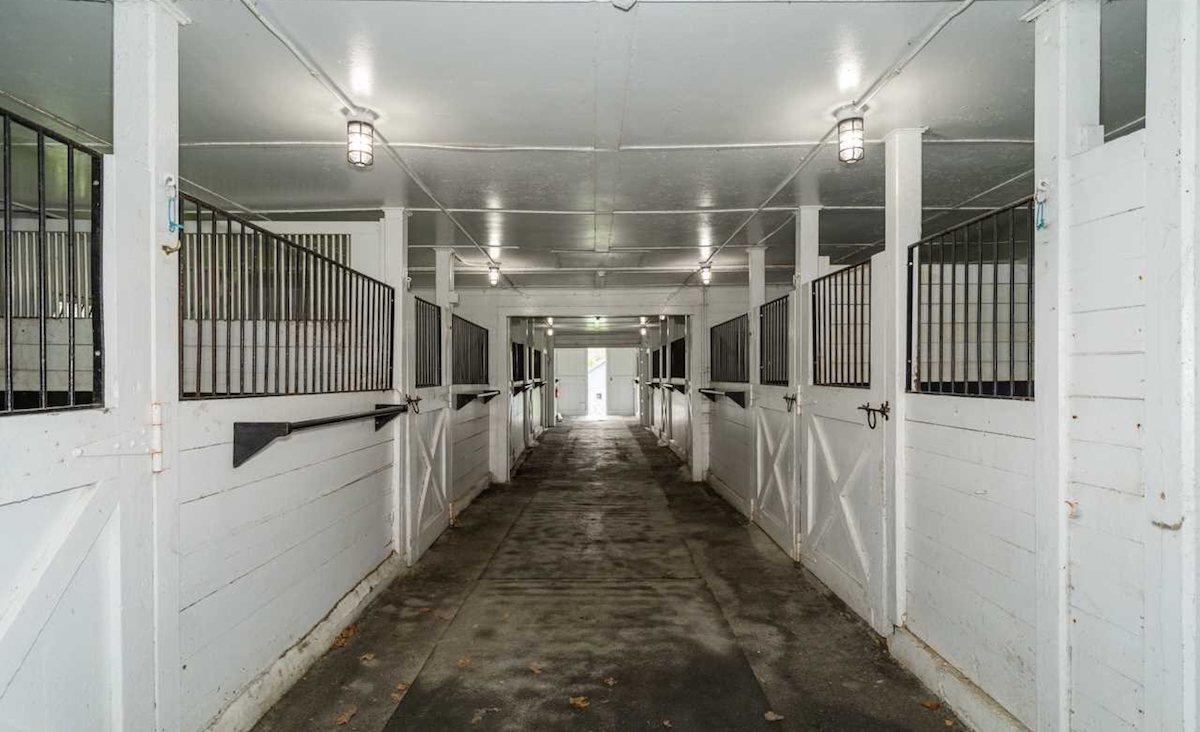Kennel
