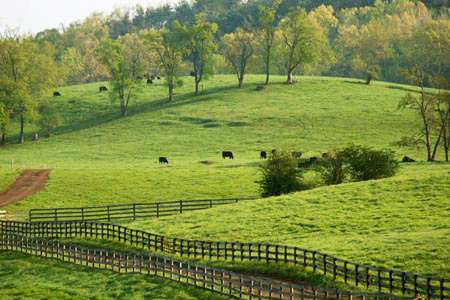 Rural Intelligence Road Trips