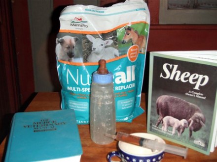 Rural Intelligence Food