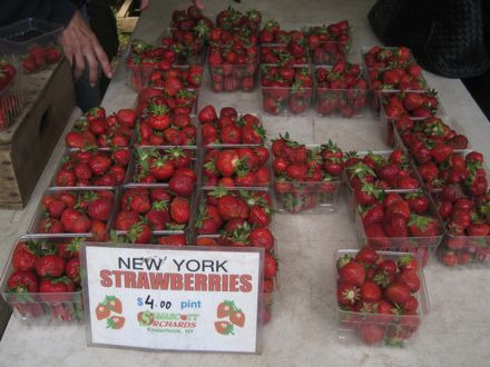 Rural Intelligence Arts