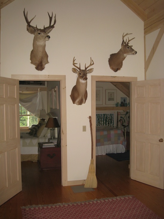 Rural Intelligence Home and Garden