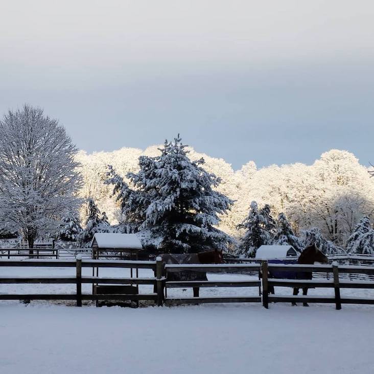A photogenic winter scene at Lilymoore Farm