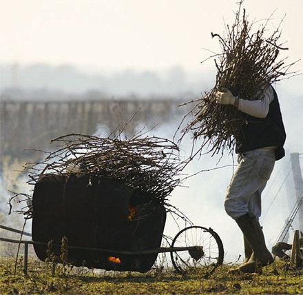 Rural Intelligence Food