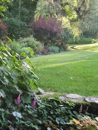 Rural Intelligence Style