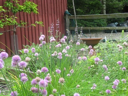 Rural Intelligence Style