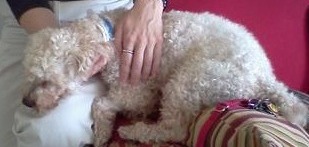 Reiki