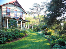 Rural Intelligence Issues