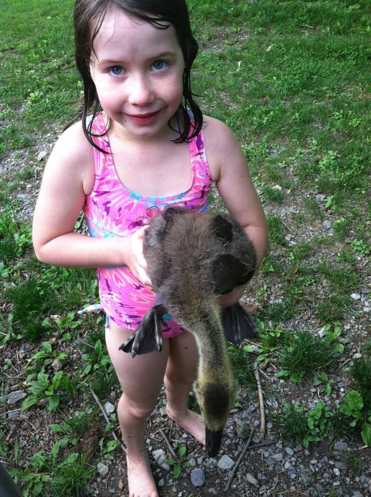 Eight-year-old Maria with her first rehab patient, "Lucky" the goose