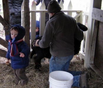 Rural Intelligence Food