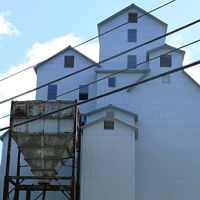 Rural Intelligence Food