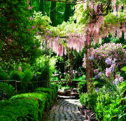 The garden of Michael Trapp