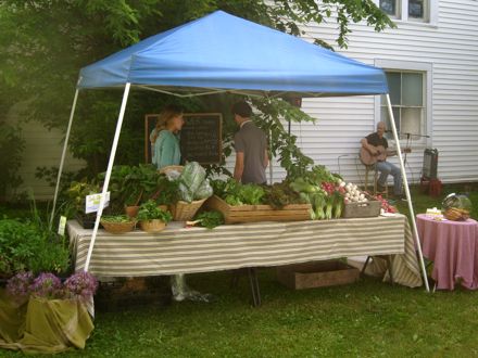 Rural Intelligence Food