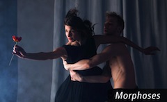 Rural Intelligence Arts