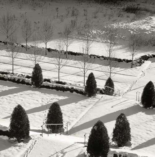 Rural Intelligence Style