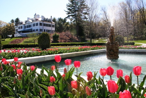 Rural Intelligence Issues