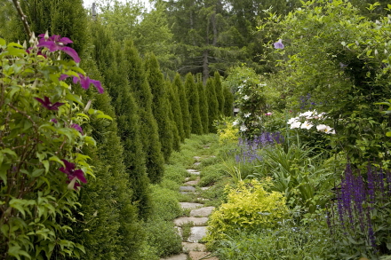 Rural Intelligence Style