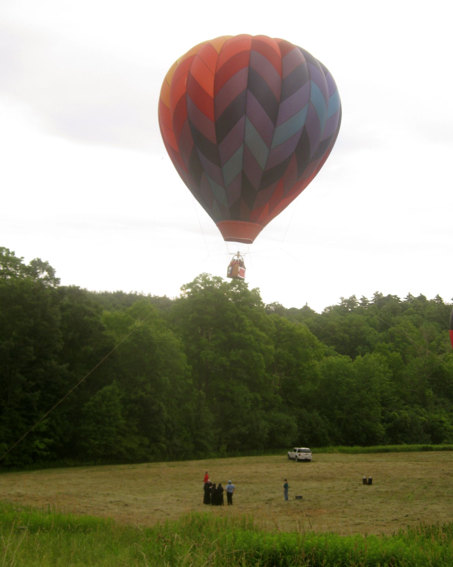 Rural Intelligence Parties and Openings