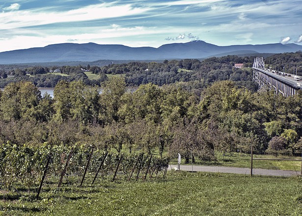 The view from Whitecliff's Hudson vineyard. Photos courtesy of Whiteclif Vineyard and Winery