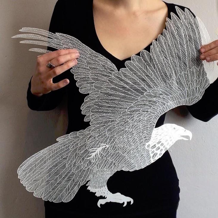 An eagle from Brave Birds