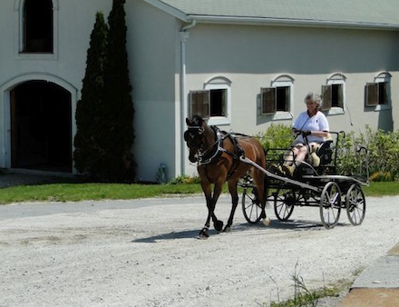 Rural Intelligence Road Trips