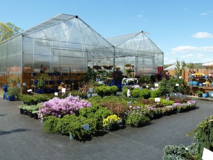 Rural Intelligence Food