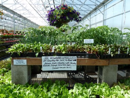 Rural Intelligence Food