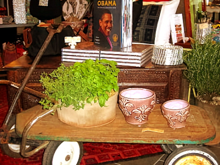 Rural Intelligence Road Trips