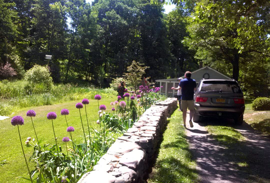 The garden, with pond on the left