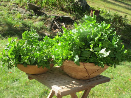 Rural Intelligence Style