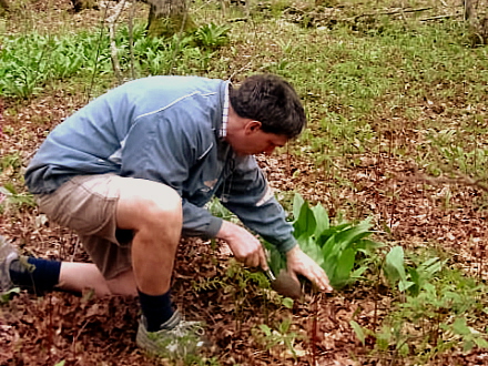 Rural Intelligence Food