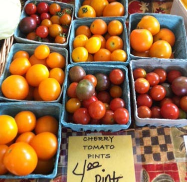 Rural Intelligence Community