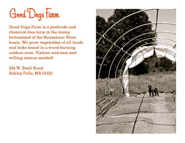 Rural Intelligence Food