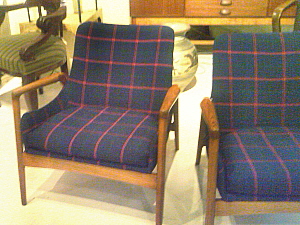 Rural Intelligence Style